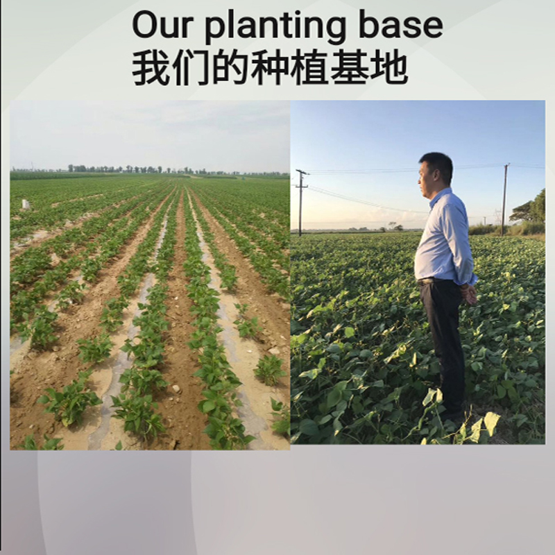 公司动态